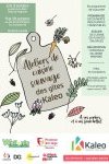 Ateliers de « cuisine sauvage »