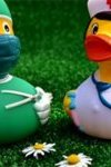 Formation sur l'hygiène hospitalière – (…)